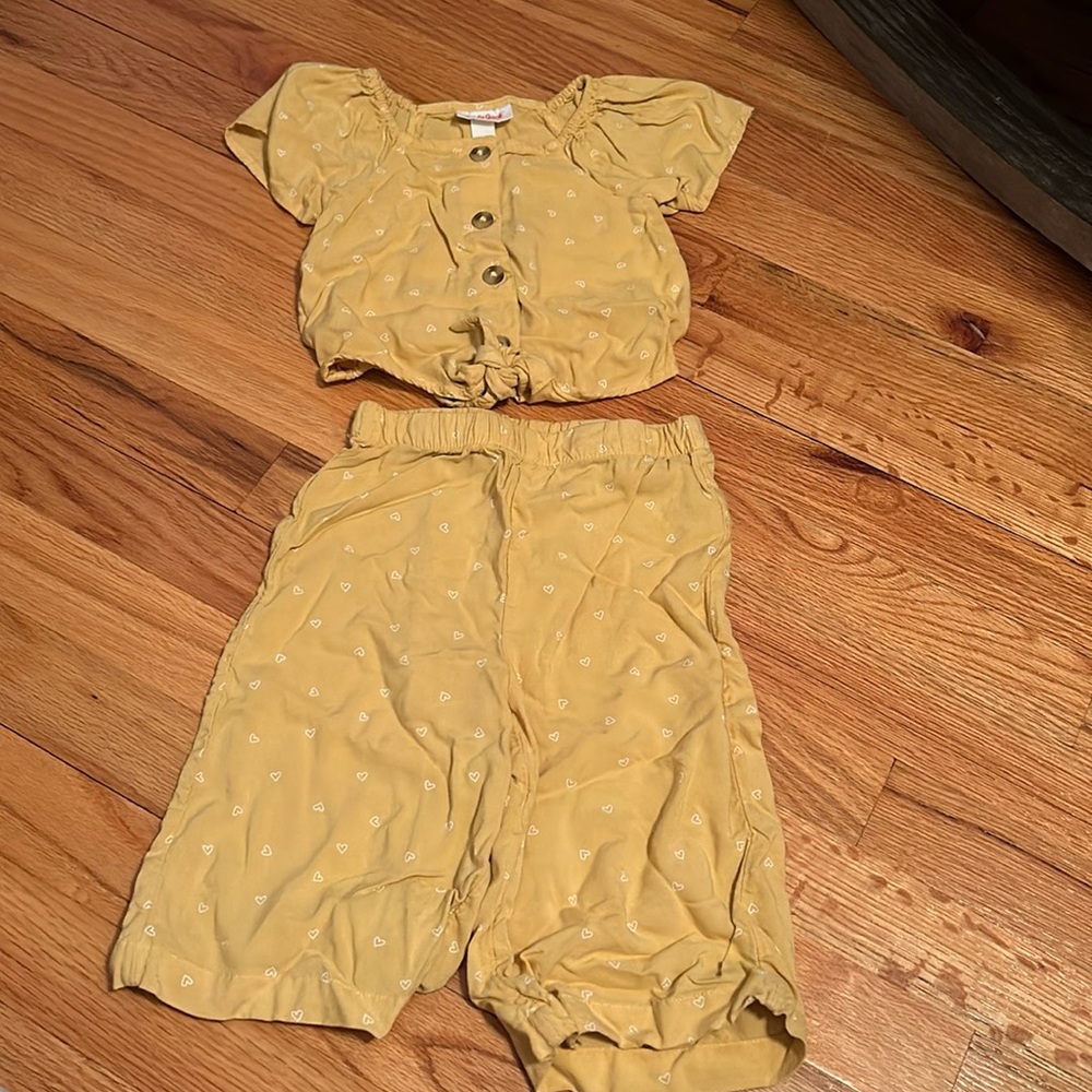 Cat and Jack 2T matching set